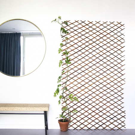 Clôture en bois extensible de 35 à 262 cm treillis décoratif pour plantes
