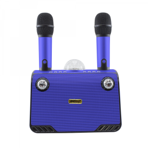 Haut-parleur Bluetooth sans fil karaoké 714386 portable avec 2 microphones