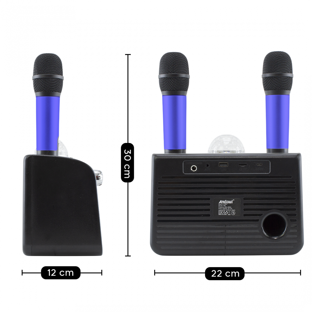 Haut-parleur Bluetooth sans fil karaoké 714386...
