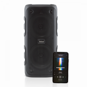 Haut-parleur bluetooth karaoké sans fil avec radio FM...