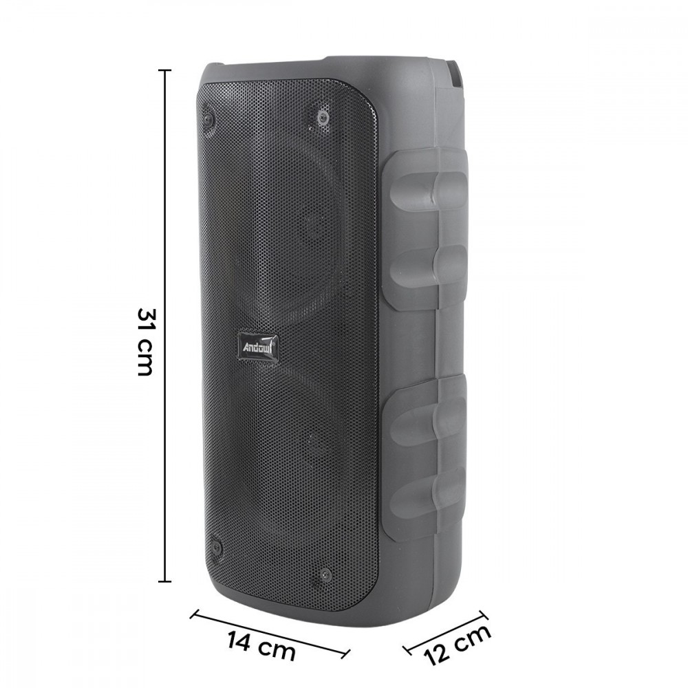 Haut-parleur bluetooth karaoké sans fil avec...