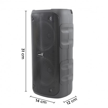 Haut-parleur bluetooth karaoké sans fil avec radio FM portable lumières RVB