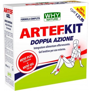 Kit Douleurs Articulaires WHYNATURE Artef Plus Sachets et...