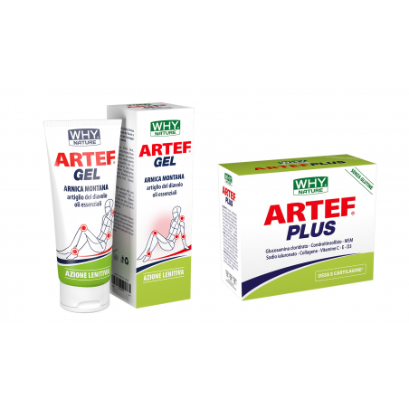 Kit Douleurs Articulaires WHYNATURE Artef Plus Sachets et Artef Gel Arnica