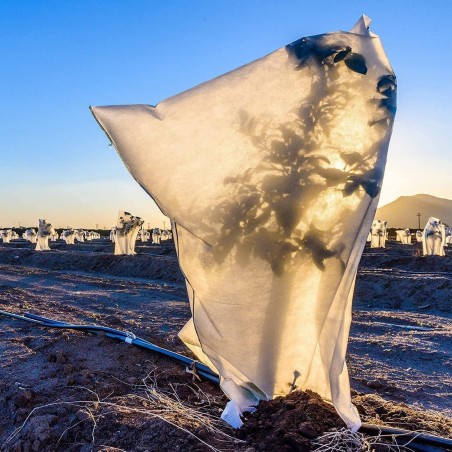 4 pcs Hottes pour plantes TNT 100X80 housse de sac antigel pour plantes