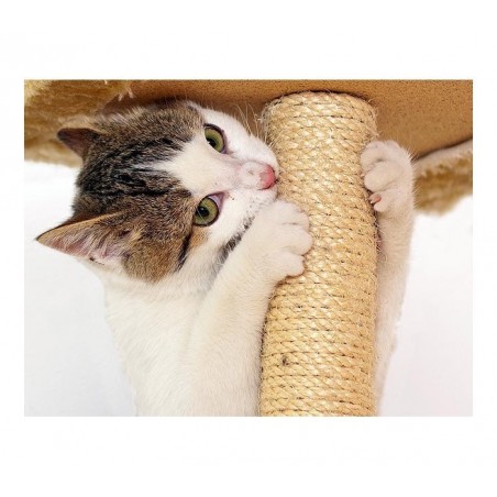 Sisal grattoir avec socle en bois pour les chats - jouet pour animal