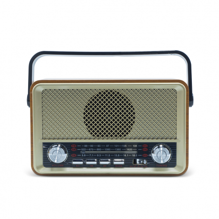 Radio FM rétro sans fil Q-SY500 haut-parleur portable MP3 Bluetooth USB AUX TF