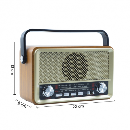 Radio FM rétro sans fil Q-SY500 haut-parleur portable MP3 Bluetooth USB AUX TF