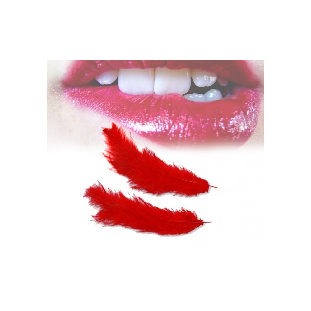 Ensemble de 3 accessoires jeu sadomasochiste menottes sexy masque de servitude et plumes HOT DEAL - 748909