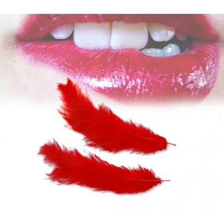 Ensemble de 3 accessoires jeu sadomasochiste menottes sexy masque de servitude et plumes HOT DEAL - 748909 Ensemble de 3 accessoires jeu sadomasochiste menottes sexy masque de servitude et plumes HOT DEAL - 748909