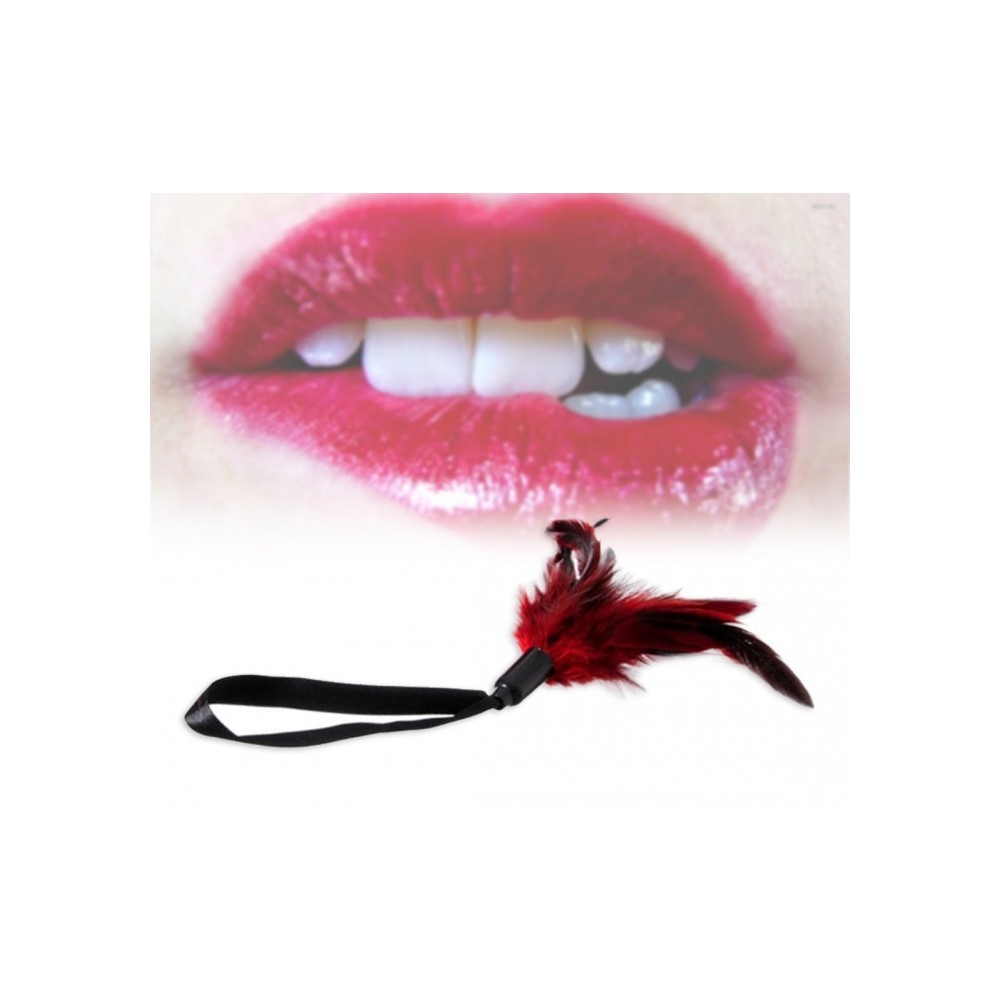 Ensemble de 4 accessoires jeu sadomasochiste menottes sexy masque en velour HOT DEAL - 748908