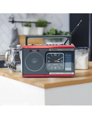 Q-FM40 Vintage FM Radio Haut-parleur Bluetooth...