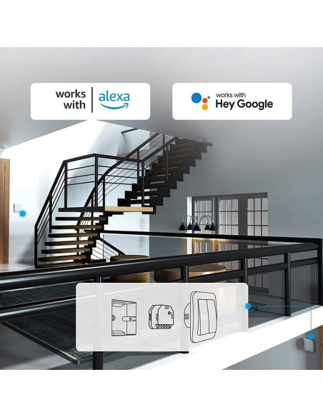 Lumière programmable Sonoff Dual R3 Lite Smart Switch avec deux réseaux
