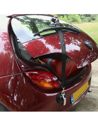 Kit d'ancrage à ventouse 2pcs Crochet...