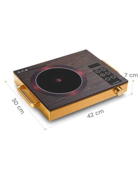 Table cuisson induction électrique portable 2200W avec commandes tactiles LED