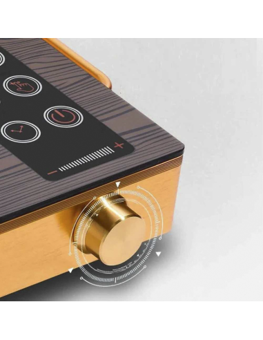 Table cuisson induction électrique portable...