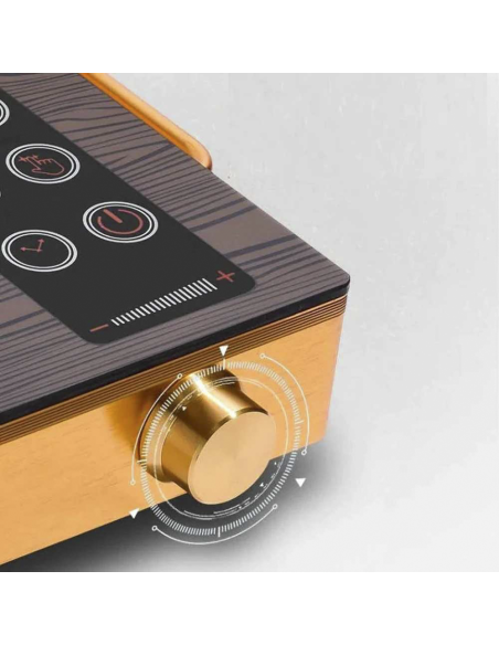 Table cuisson induction électrique portable 2200W avec commandes tactiles LED