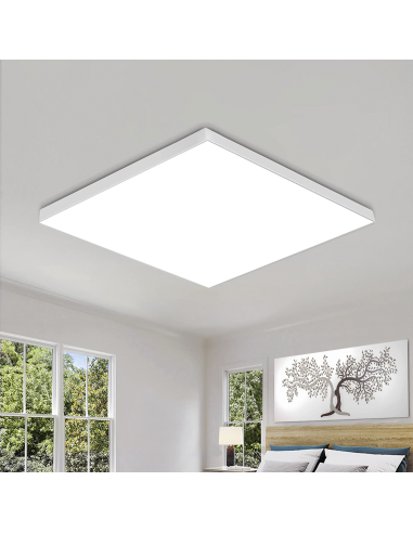 Plafonnier LED 50W Lumière Blanche 6000K Lampe...