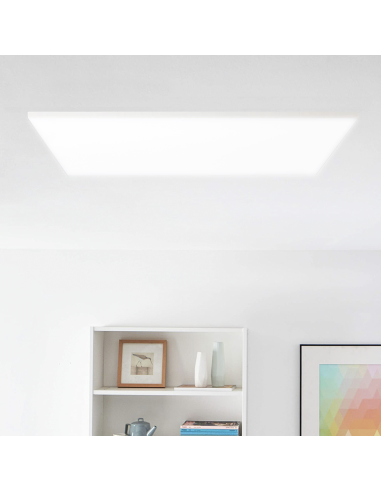 Plafonnier LED 50W Lumière Blanche 6000K Lampe...