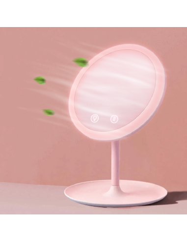 Miroir cosmétique de table à LED Lampe de...