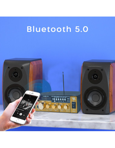 Karaoké Bluetooth Stéréo HiFi Amplificateur MP3...