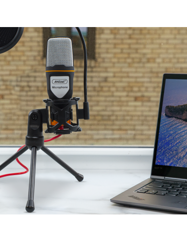 Kit microphone à condensateur pour PC avec...