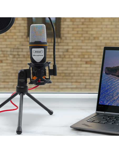 Kit microphone à condensateur pour PC avec filtre anti-pop de carte son trépied