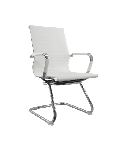 Pack de 2 chaises de salon ou de bureau ISAAC...