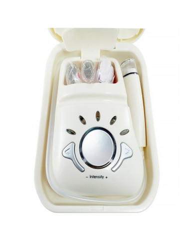 Masseur Facial Électrique Traitement Anti-Rides...