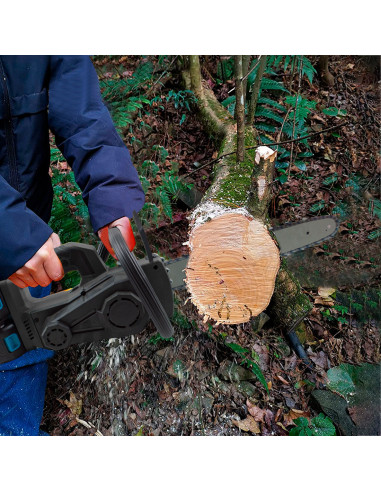 Tronçonneuse sans fil à double batterie 21V...
