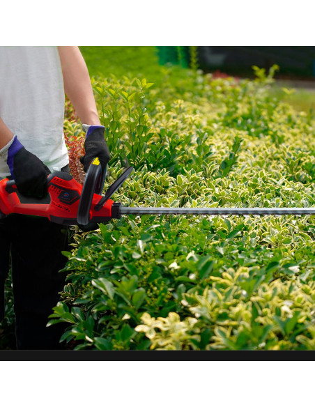 Taille-haie électrique sans fil rechargeable de 600W, lame de 51 cm.