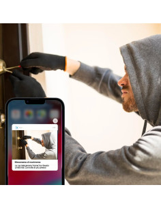 Caméra IP Wi-Fi Full HD avec sirène et application 2