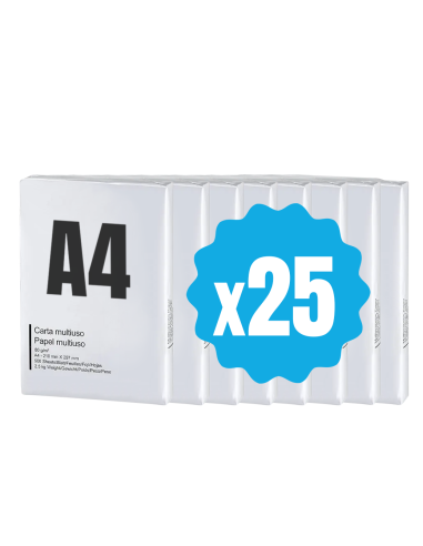 42757 Pack 25 paquets de papier format A4 500 feuilles 80 g Eins Universal Copy