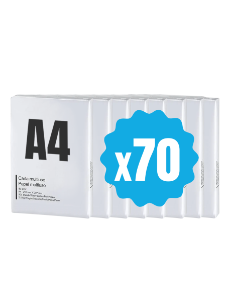 42757 Pack 70 paquets de papier format A4 500 feuilles 80 g Eins Universal Copy