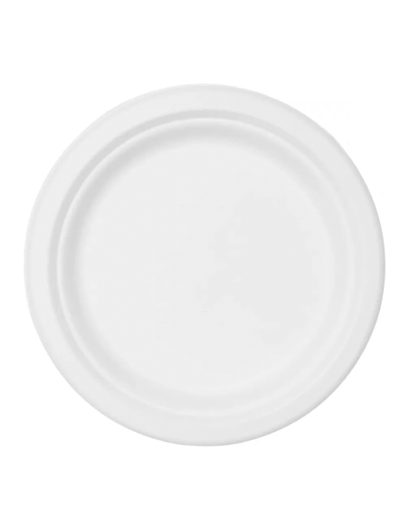 Lot de 20 Assiettes en Papier de 23 cm Jetables, Biodegradables et Écologiques
