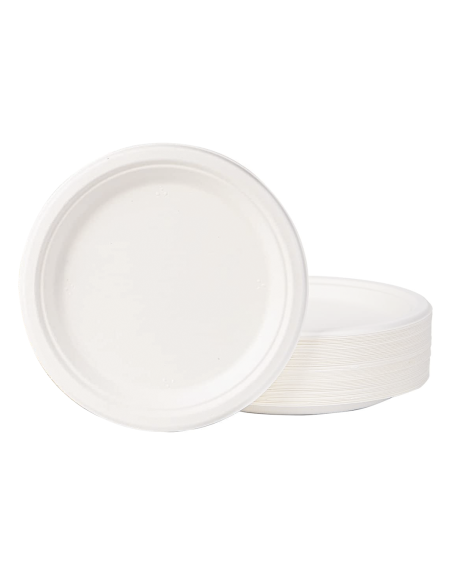 Lot de 20 Assiettes en Papier de 23 cm Jetables, Biodegradables et Écologiques