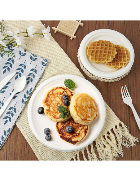 Lot de 60 Assiettes en Papier de 23 cm Jetables, Biodegradables et Écologiques