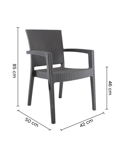 Ensemble 2 chaises d'extérieur CATAS résine...