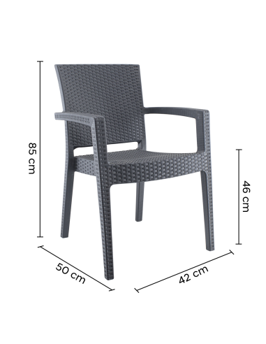 Ensemble 2 chaises d'extérieur CATAS résine...