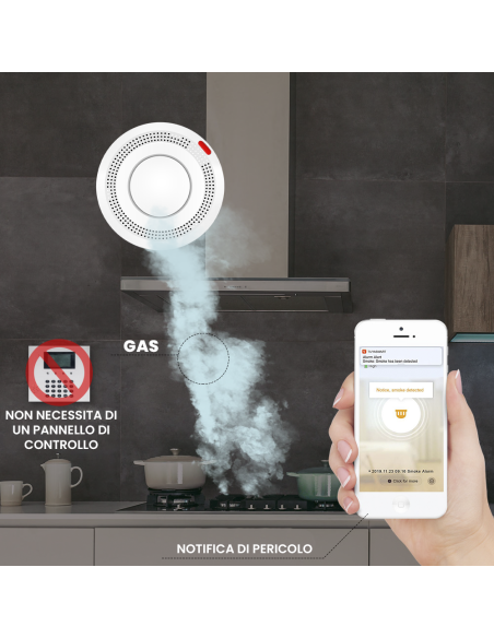 Détecteur fumée sans fil Contrôle via APP Alarme sonore intelligente Wi-Fi