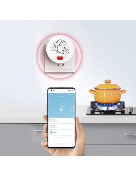 Détecteur gaz Wi-Fi Contrôle via app mobile Q-MQ25 Alarme sonore intelligente