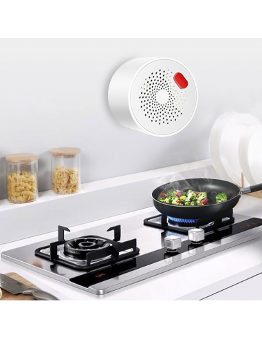 Détecteur gaz Wi-Fi Contrôle via app mobile...