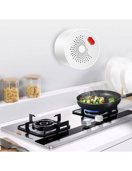 Détecteur gaz Wi-Fi Contrôle via app mobile Q-MQ25 Alarme sonore intelligente