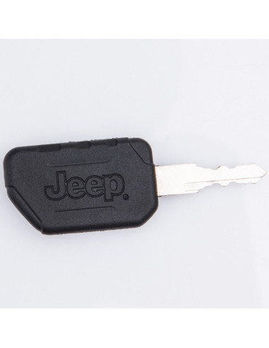 Jeep Wrangler pour enfants 12V BIPOSTO...