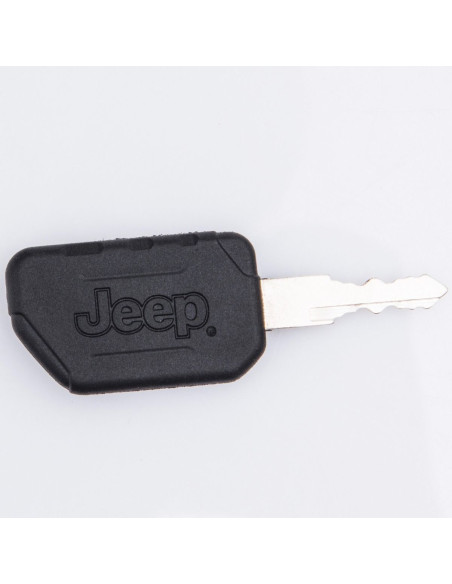 Jeep Wrangler pour enfants 12V BIPOSTO télécommandé lumières et sons écran MP4