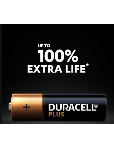 4 piles alcalines Duracell Plus format Mini...