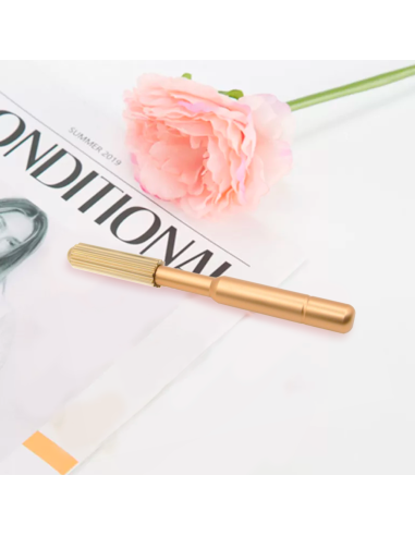 Bâton de Massage Facial Dispositif de Soin...