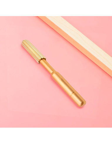 Bâton de Massage Facial Dispositif de Soin...