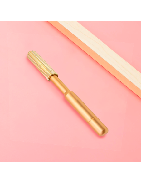 Bâton de Massage Facial Dispositif de Soin Visage Roller Stick