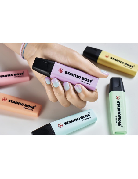 Marqueurs STABILO BOSS ORIGINAL ensemble 15 couleurs variées, 9 néon + 6 pastel